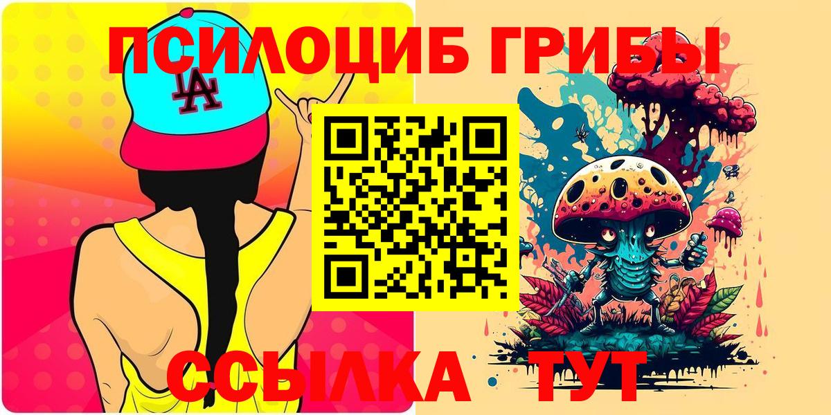 Жигулёвск  Псилоцибиновые грибы Psilocybine cubensis  наркошоп  Вход с VPN 